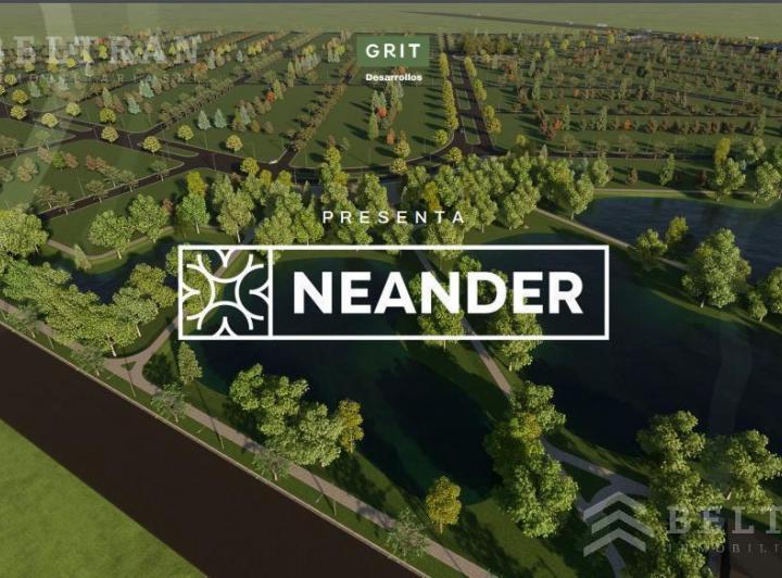 Desarrollo horizontal · Neander