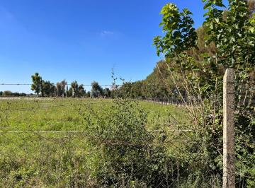 Campo · 240000m² · Venta Campo 24 Ha Agropecuarias, Apto Granja, Emprendimiento o Cultivo
