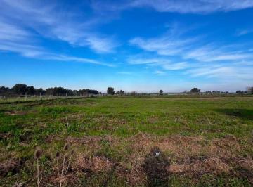 Terreno · 17835m² · Terreno de 2 Ha en Venta Ubicado en 610 y 27