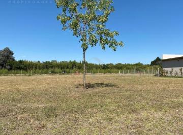 Terreno · 420m² · Terreno Lote en Venta en El Aljibe, Pilar