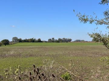 Campo · 68000m² · Venta Campo 7 Ha Apto Desarrolladores, con Zonificacion Residencial, Subdividible en 1500 m.