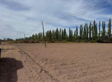 Terreno , Maipú · Terreno / Lote en Venta de 96000 m² Ubicado en Barrancas