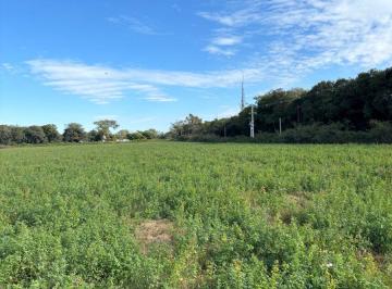 Campo , Bouwer · Venta 6 Hectáreas Camino San Carlos Bouwer