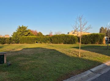 Foto Principal · Lote Interno # - Villa Nueva - San Francisco - 822 m² #id 6674