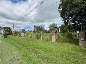 Terreno · 340m² · Los Pinos (Villa Amelia) - Lotes de 340 m²