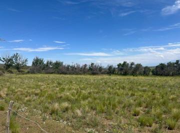 Terreno · 17000m² · Lote en Venta La Carrera Tupungato Valle de Uco