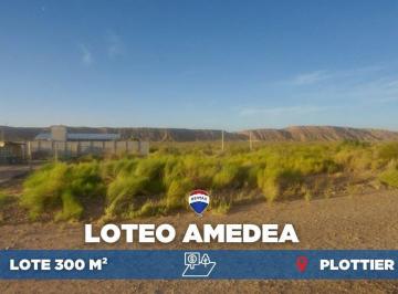 Terreno · 300m² · Venta Lote 300 m², Mutual Amedea, Plottier