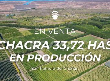 Campo · 33ha · Venta Chacra 33,72 Htas en Produccion