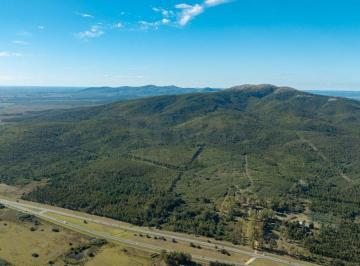 Campo · 254ha · Campo en Venta en Sierra de Las Ánimas, Ladera Sur