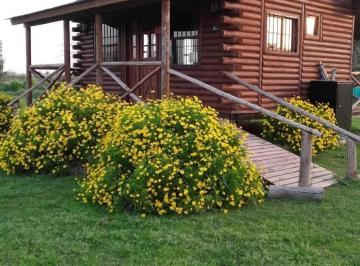 Hotel · 200m² · 5 Ambientes · Complejo de Cabañas en Venta - Monoambiente - 10000 m² - General Belgrano