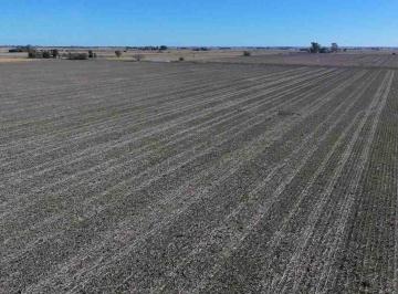 Campo · 20ha · Venta Campo Agrícola en Llambi Campbell