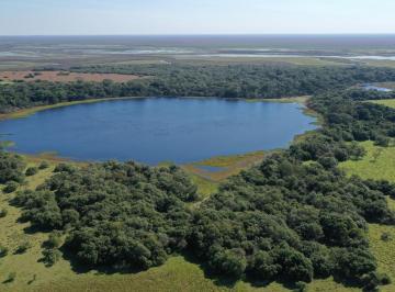Campo · 15180000ha · Campo Ituzaingo Corrientes