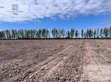 Campo · 59336m² · Venta Campo en Lavalle