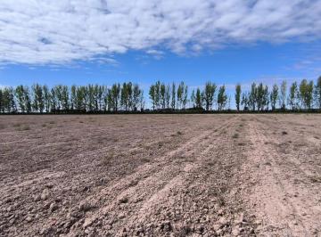Campo · 59336m² · Venta Campo Lavalle