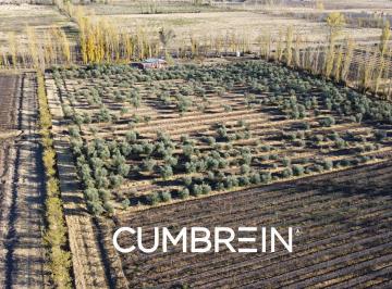 Campo · 180000m² · Finca de 18 Hectáreas en Las Paredes - San Rafael