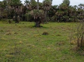 Terreno , Enrique Urién · Venta de 3 Lotes de 27 Ha c/u