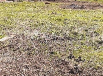 Terreno · 450m² · Terreno en El Camino a Puerto Patriada