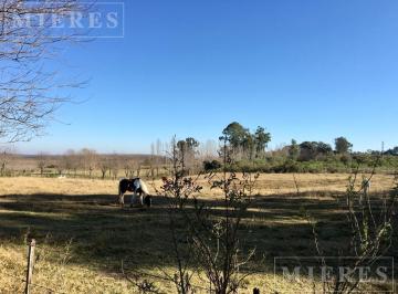 Terreno · 10000m² · Terreno en Venta de 10.000 m² de La Carcova Esquina Constancia