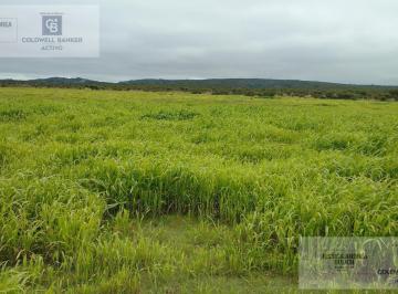 Campo · 2147483647m² · Venta Campo en Panaholma
