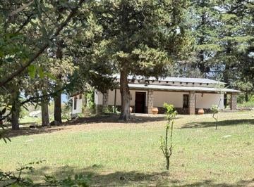 Casa · 3000m² · 4 Dormitorios · Casa en Venta en La Quebradita, Tafi del Valle