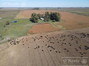 Campo · 3240000ha · Campo en Venta de 324 Has de General Alvear