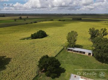 Campo · 550000ha · Campo Agricola de 55 Has con Estupendas Mejoras en San Miguel del Monte