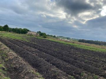 Terreno · 30000m² · Venta de Terrenos en Progreso de 3 Hectáreas