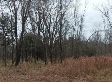 Terreno · 700m² · Venta Lote 700 m² en Solar de Los Molinos
