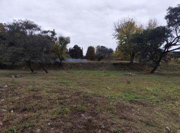 Terreno · 450m² · Venta Terreno Las Tunas Vaqueros