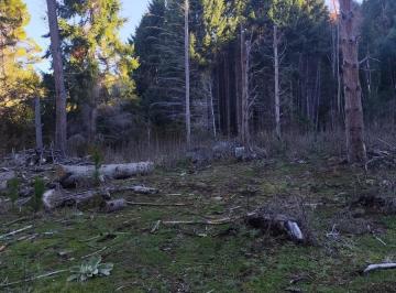 Campo · 24920m² · Oportunidad Única Cruzando La Pasarela del Río Azul, Chacra 2,4 Hectáreas