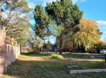 DIT-DIT-6406_2 · Lote. | Garay 1358