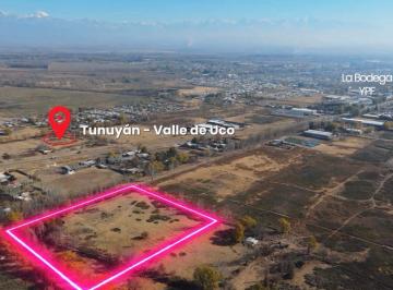 Terreno , Tunuyán · Terreno de 38038 m² en Venta en Tunuyán