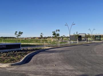 Entrada Silvestre · Terreno en Venta en Silvestre, Nordelta