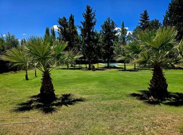 Campo · 50m² · 4 Ambientes · 4 Cocheras · Finca y Casa con Pileta en Venta en Las Paredes, San Rafael