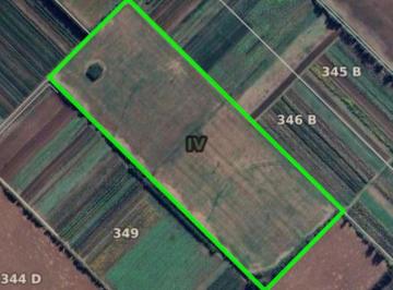 Campo , San Pedro · Campo 16.5 Has Agricolas - San Pedro