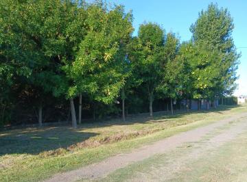 Terreno , Alvear · Terreno 360 m² Cerrado/cercado