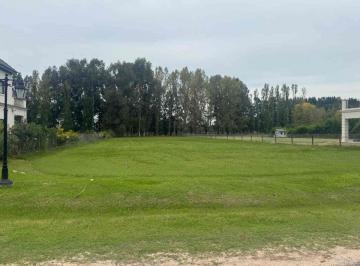 Terreno · 2605m² · Lote de 2600 m en Venta Haras del Sur