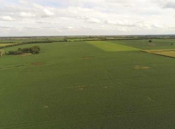 Campo · 49ha · Venta Campo de 49,21 Ha en Maria Luisa