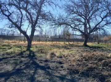 Terreno · 1450m² · Venta Lote de 1450 m² Tupungato "Bajamos Precio"