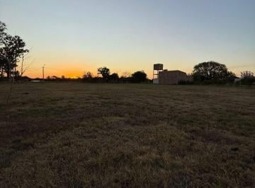 Terreno · 1000m² · Lote en loteo"La serena"En Venta. Colonia Carolina