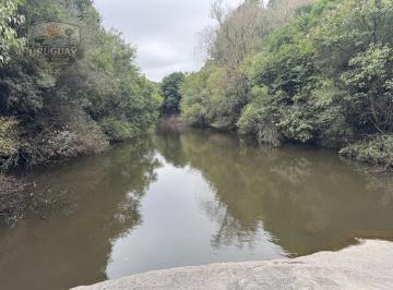 Campo · 850000ha · 10 Ambientes · 6 Cocheras · Campo en Colonia con Costa Al Río – Ideal Desarrollo Turístico