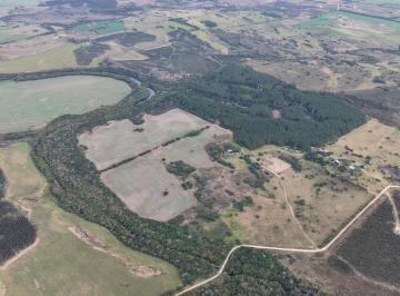 Campo · 85ha · 10 Ambientes · 6 Cocheras · Campo en Colonia con Costa Al Río – Ideal Desarrollo Turístico