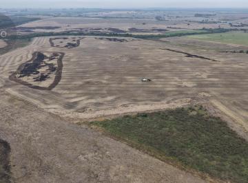 Campo · 2147483647m² · Campo Mixto en Miguelete