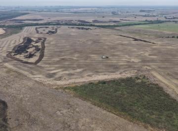 Campo · 2147483647m² · Campo Mixto en Miguelete