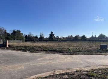 Foto Principal · Lote Venta Barrio La Estela - Interno - 605 m² #id 26159