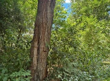 Terreno · 420m² · Terreno Virgen de 420 m² en El Ensueño con Titulos