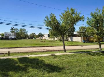 Terreno , Luis Palacios · 4 Terrenos Juntos o Lotes Separados