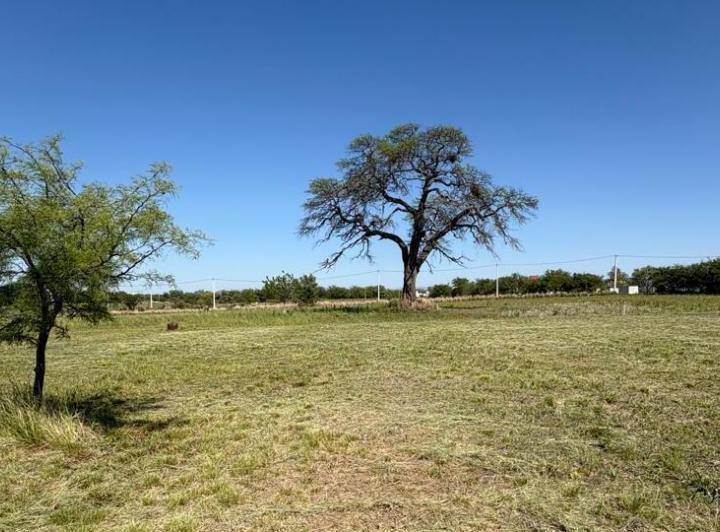 Terreno · 1006m²