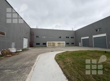 Bodega-Galpón · 1200m² · Galpón en La Plata