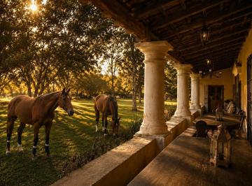 Campo · 612m² · 15 Ambientes · Estancia Histórica de 1830 Restaurada con 42 Hectáreas a 50 Km del Mar